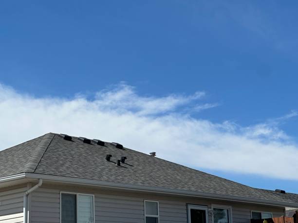 Best Rubber Roofing (EPDM, TPO)  in Whitney Point, NY